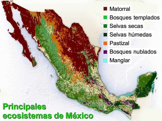 Mapa Ecosistemas de Mexico